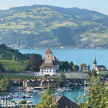 Herrlicher Blick Auf Berge Und See Faulensee Exterior photo
