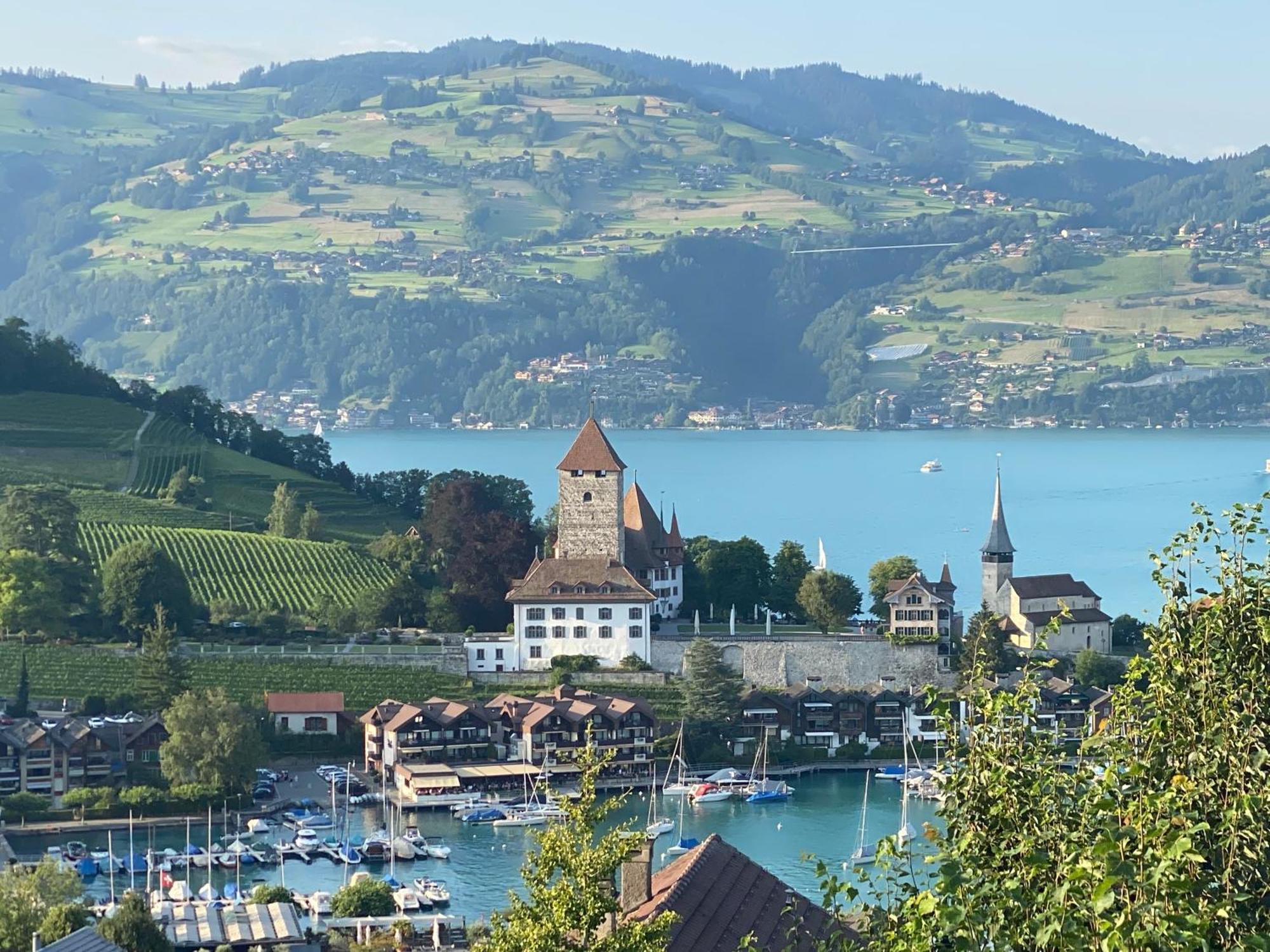 Herrlicher Blick Auf Berge Und See Faulensee Exterior photo