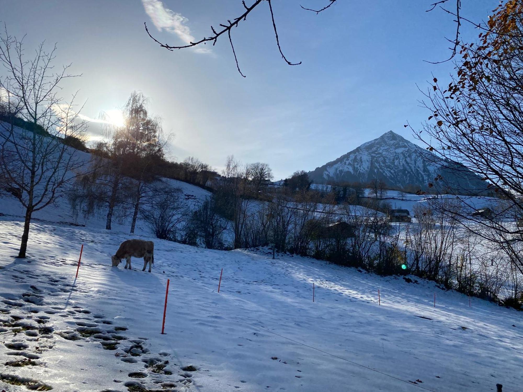 Herrlicher Blick Auf Berge Und See Faulensee Exterior photo